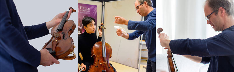 Larsen Strings Expertise